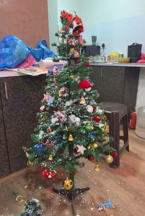 Decorated Christmas tree in the SantaCruz office